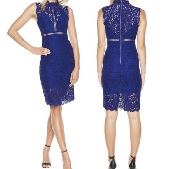 EUC Bardot Cobalt Blue Lace Sheath Cocktail Dress 8 - Picture 1 of 5
